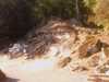 20080919162754-IMAG0825.jpg