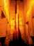 20080919163716-IMAG0840.jpg