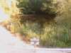 20080919165231-IMAG0847.jpg