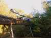 20080919170406-IMAG0851.jpg