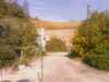 20080920145307-IMAG0857.jpg