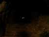 20080920150232-IMAG0861.jpg