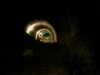 20080920150920-IMAG0863.jpg