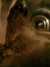 20080920152106-IMAG0873.jpg