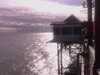 20081018122012-IMAG0887.jpg