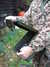 DSCF2837.JPG