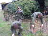 DSCF2885.JPG