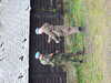 2008-11-08:copy
