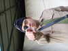 DSCF2916.JPG