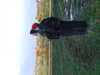 DSCF2945.JPG