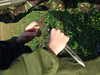 DSCF2950.JPG