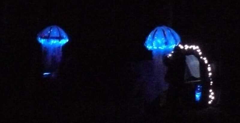 n593743916_1030829_9217.jpg