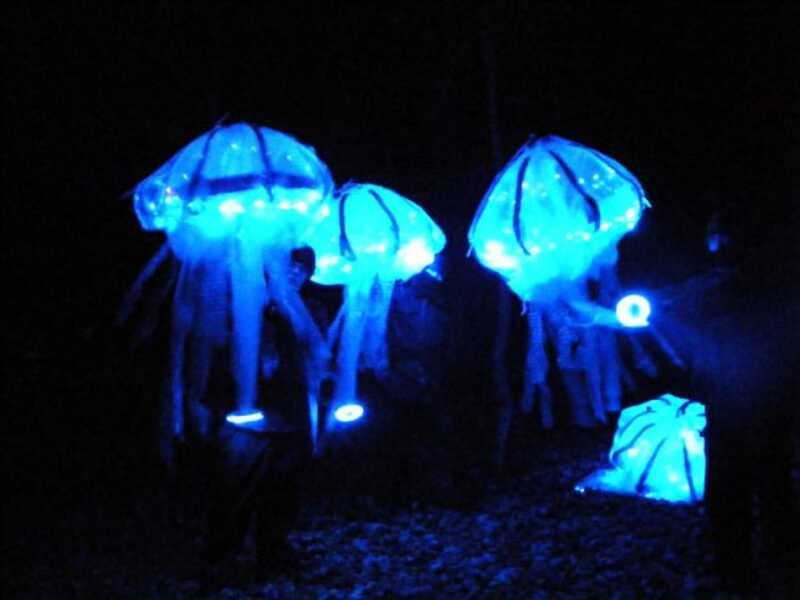 n633138141_1699153_5152.jpg
