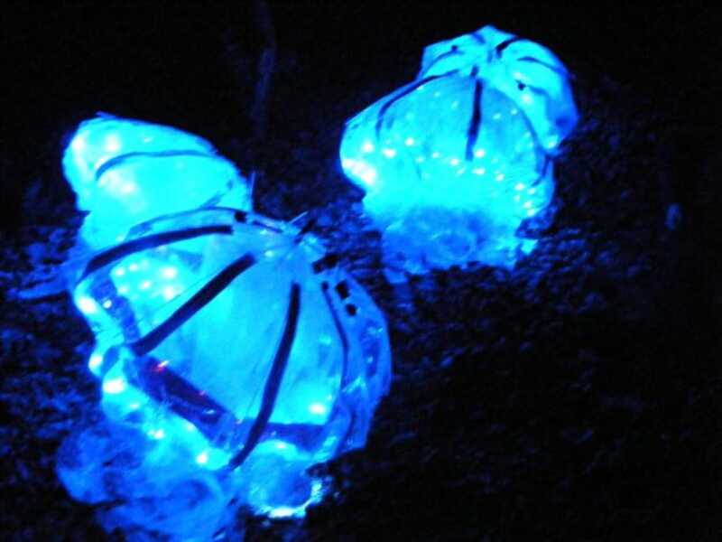 n633138141_1699155_4480.jpg