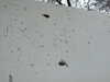 20081224113746-DSCF3136.JPG