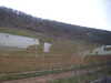 20081224122035-DSCF3156.JPG