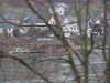 20081224124500-DSCF3192.JPG