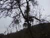 20081224133541-DSCF3222.JPG