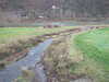 20081225132445-DSCF3293.JPG