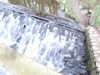 20081225135346-DSCF3301.JPG