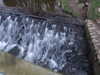 20081225135429-DSCF3304.JPG