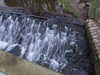 20081225135433-DSCF3305.JPG