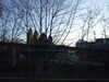20081226083645-DSCF3328.JPG