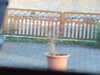 20081226085106-DSCF3338.JPG