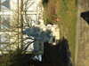20081226091958-DSCF3352.JPG