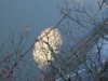 20081226092428-DSCF3360.JPG