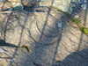 20081226092807-DSCF3369.JPG