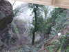 20081226093213-DSCF3371.JPG