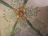 20081226110812-DSCF3395.JPG