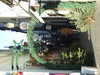 20081226122402-DSCF3401.JPG