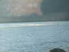 20081226133549-DSCF3406.JPG