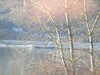 20081226134439-DSCF3420.JPG