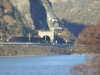20081226135512-DSCF3441.JPG