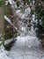 20090202144814-DSCF3487.JPG