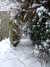 20090202144823-DSCF3488.JPG