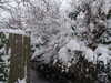 20090202144831-DSCF3489.JPG