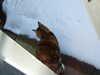 DSCF3502.JPG
