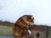 DSCF3503.JPG