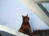 DSCF3504.JPG