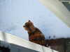 DSCF3505.JPG