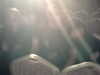 PICT0007.JPG