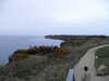 20090411122757-SDC10758.JPG