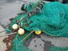 20090411163416-DSCF3676.JPG