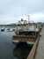 20090411163443-DSCF3677.JPG