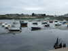 20090411163553-DSCF3679.JPG