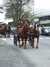 DSCF3703.JPG